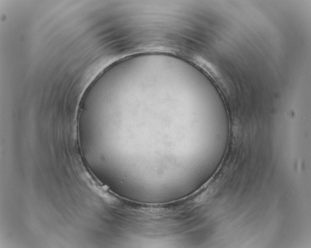 X0000089351236200707061016