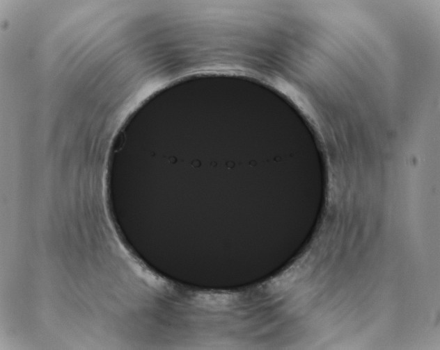 X0000089351237200707061016