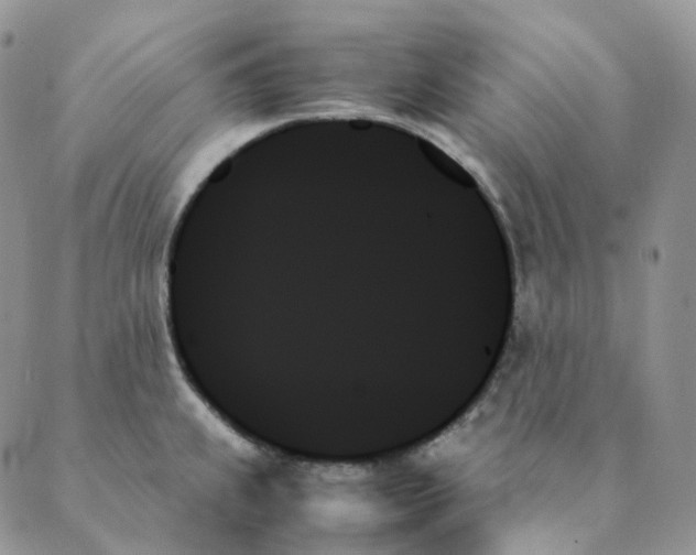 X0000089351239200707061016