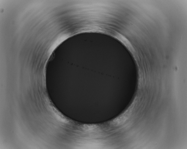 X0000089351242200707061016