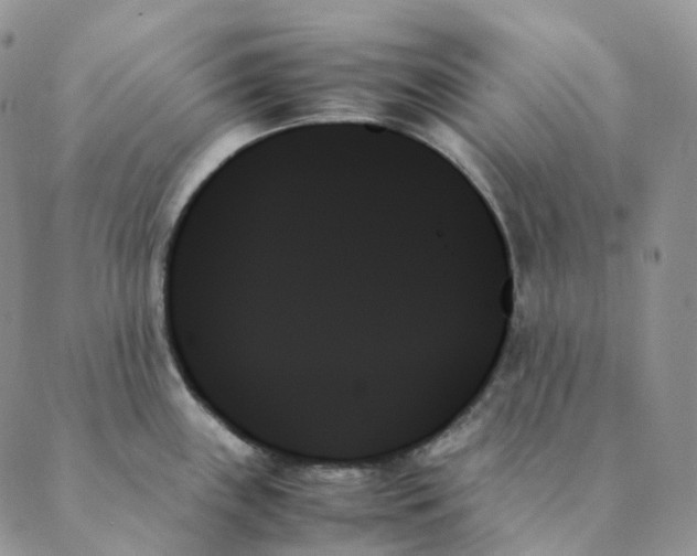 X0000089351243200707061016