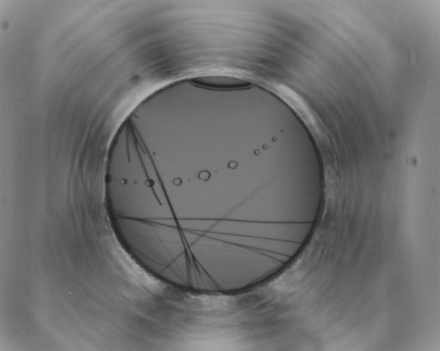 X0000089351244200707061016