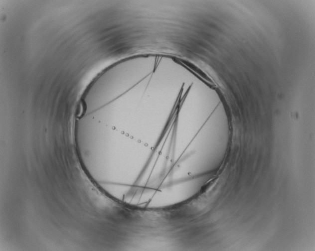 X0000089351246200707061017