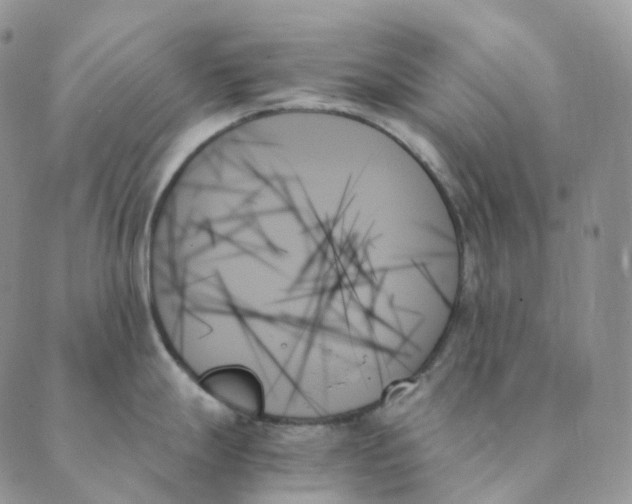 X0000089351247200707061017