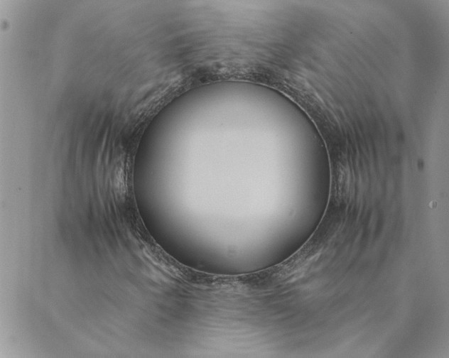 X0000089351250200707061016