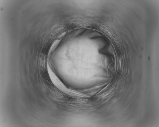 X0000089351251200707061016