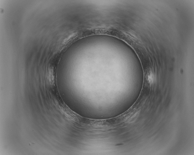 X0000089351252200707061016