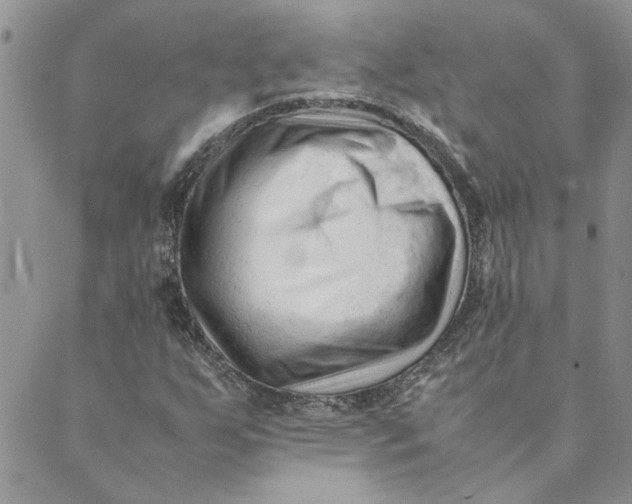 X0000089351255200707061016