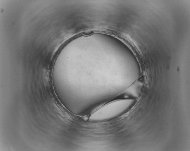 X0000089351260200707061016