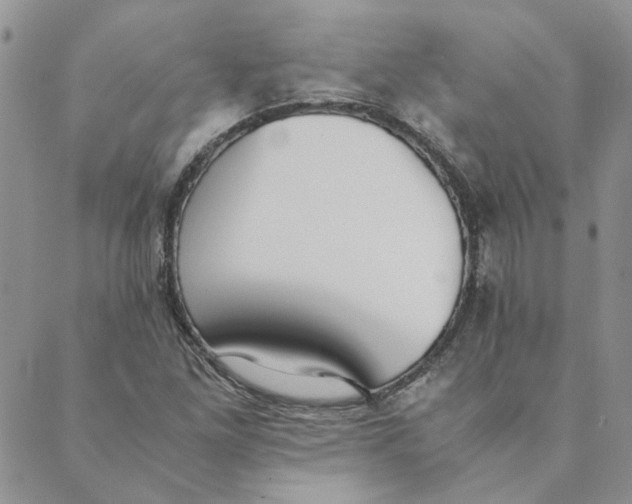 X0000089351261200707061016