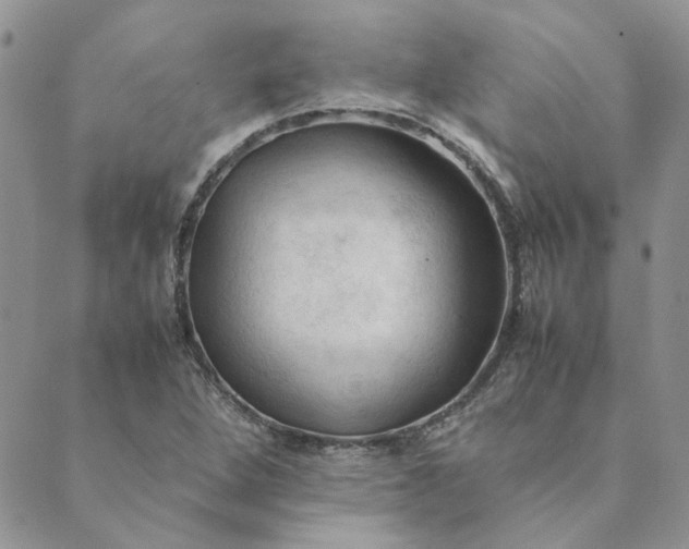 X0000089351264200707061016