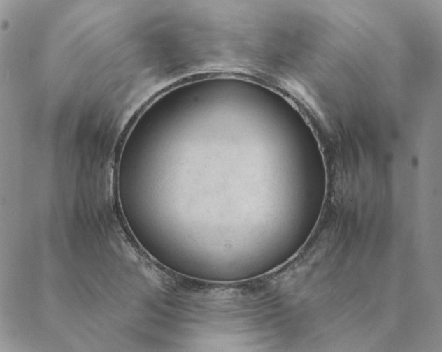 X0000089351268200707061015