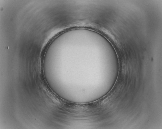 X0000089351270200707061015
