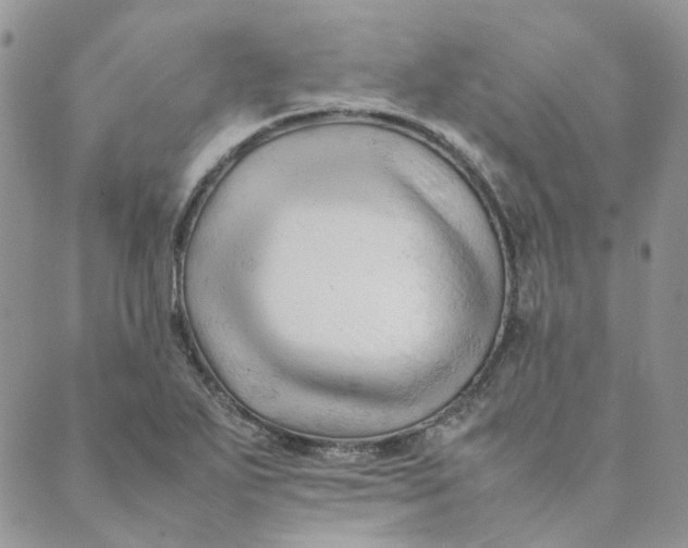 X0000089351271200707061015