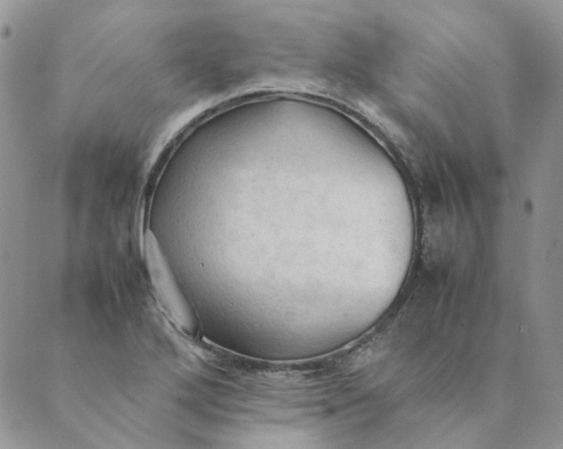 X0000089351272200707061015