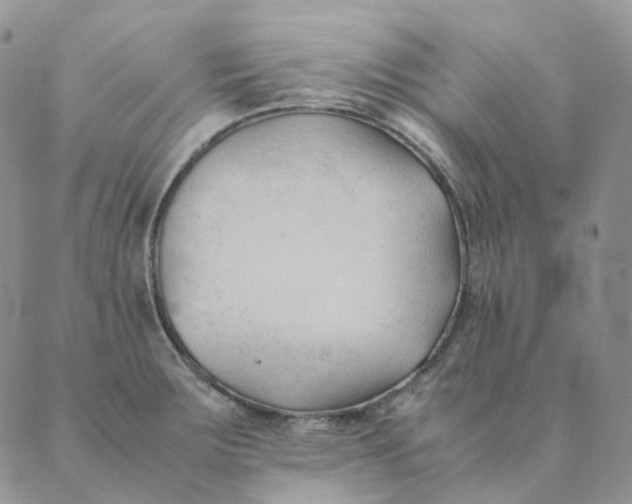 X0000089351283200707061015
