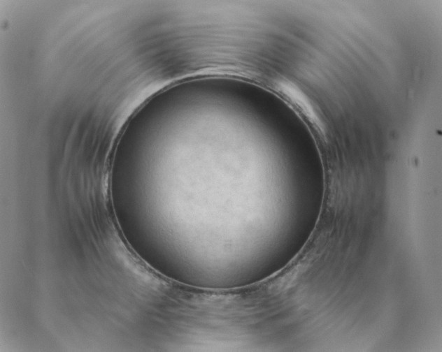 X0000089351284200707061015