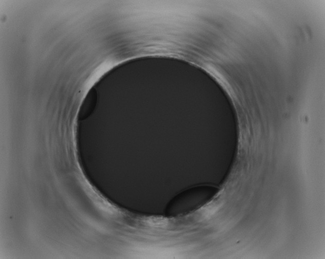 X0000089351291200707061015