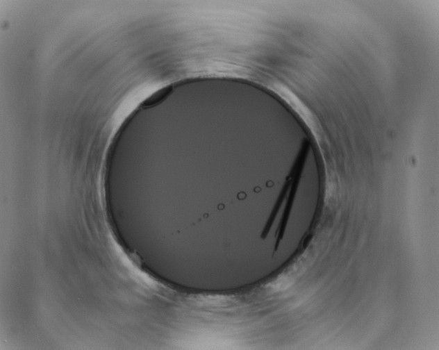 X0000089351293200707061015