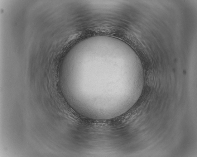 X0000089351297200707061014