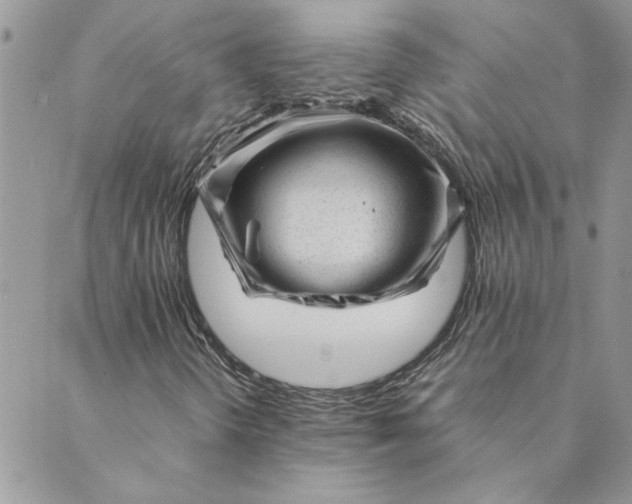 X0000089351298200707061014