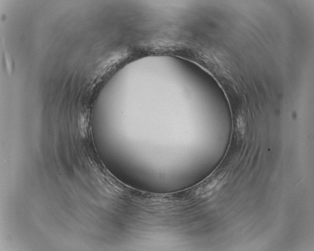 X0000089351300200707061014