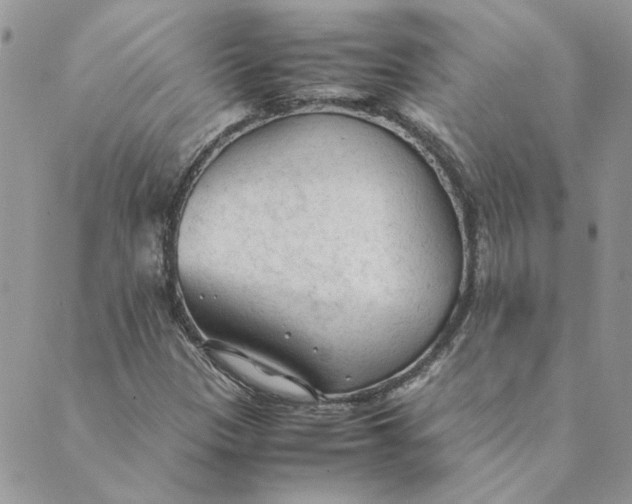 X0000089351305200707061014