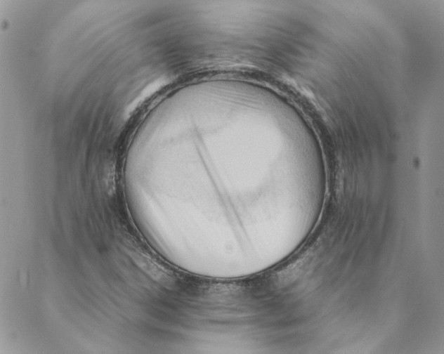 X0000089351306200707061014