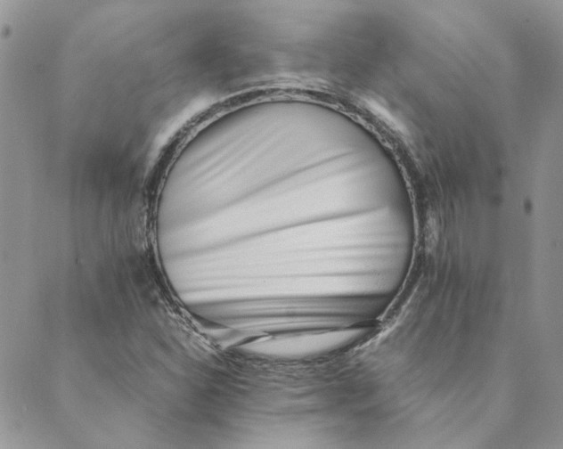 X0000089351310200707061014