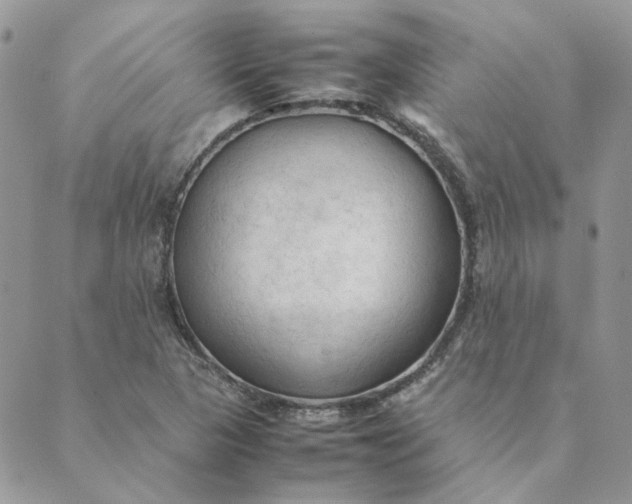 X0000089351313200707061014