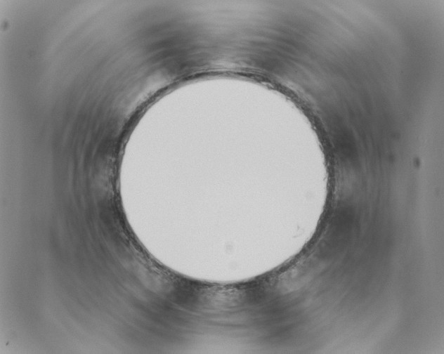 X0000089351314200707061015