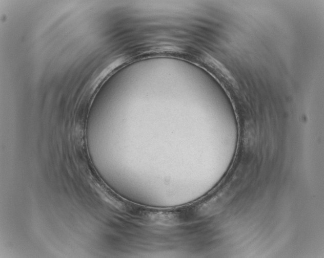 X0000089351321200707061015
