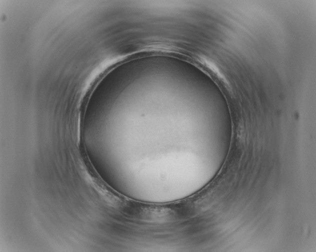 X0000089351323200707061015