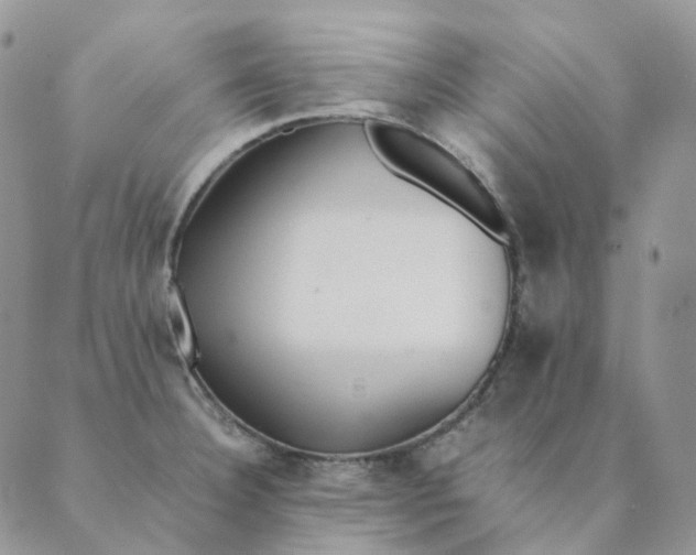 X0000089351332200707061015
