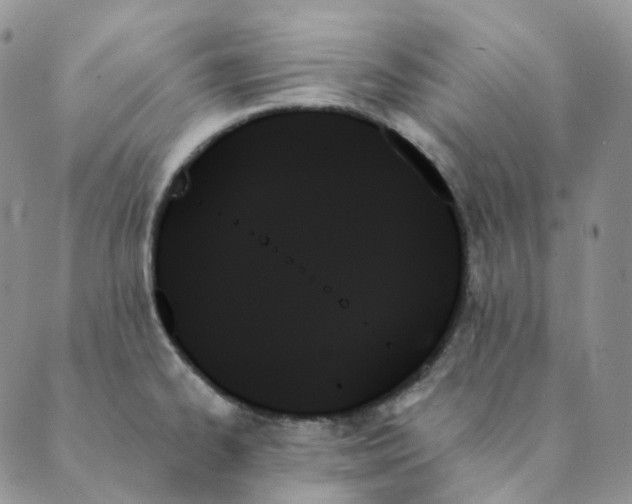 X0000089351334200707061015