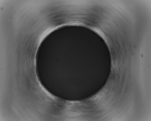X0000089351335200707061015