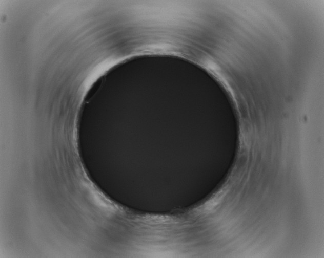 X0000089351336200707061015