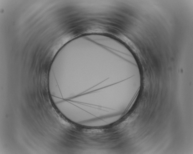 X0000089351337200707061015