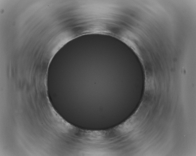X0000089351338200707061015