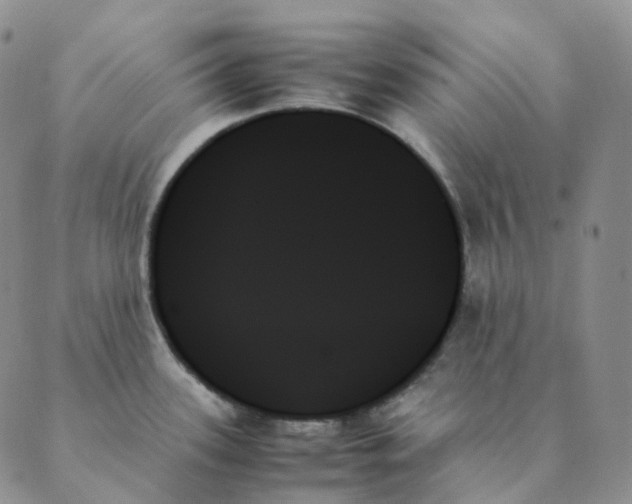X0000089351339200707061015