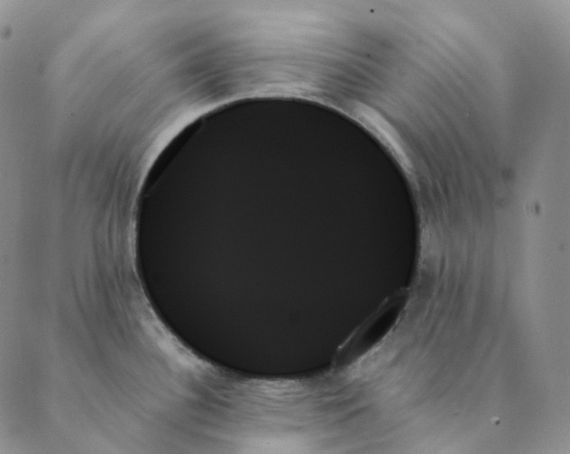 X0000089351340200707061015