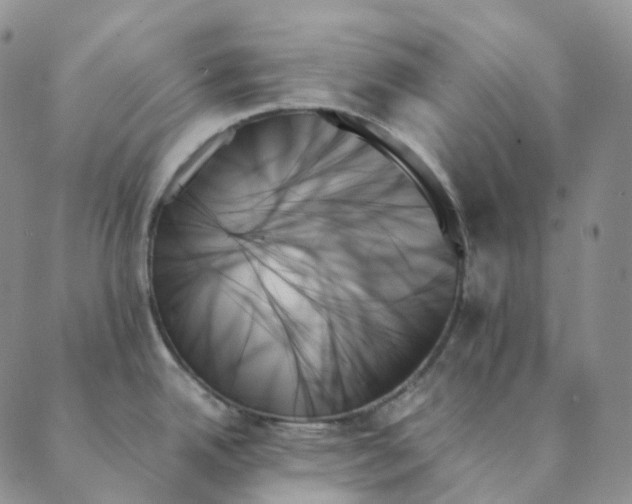 X0000089351342200707061015