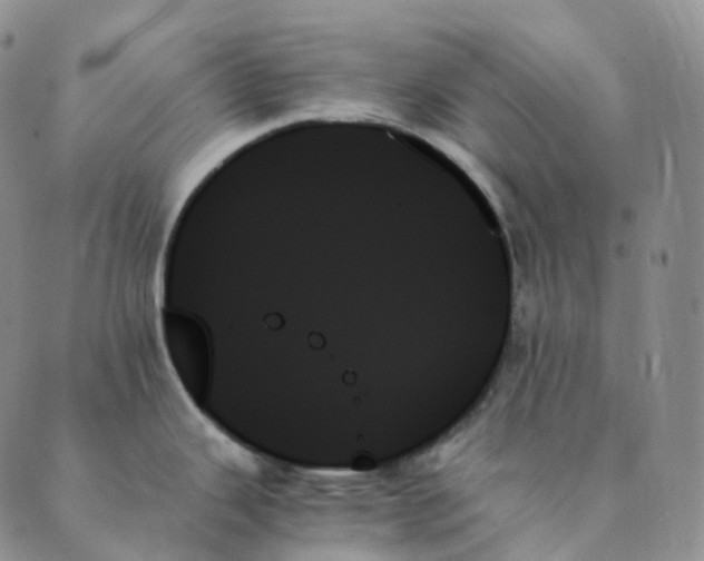 X0000089351343200707061015