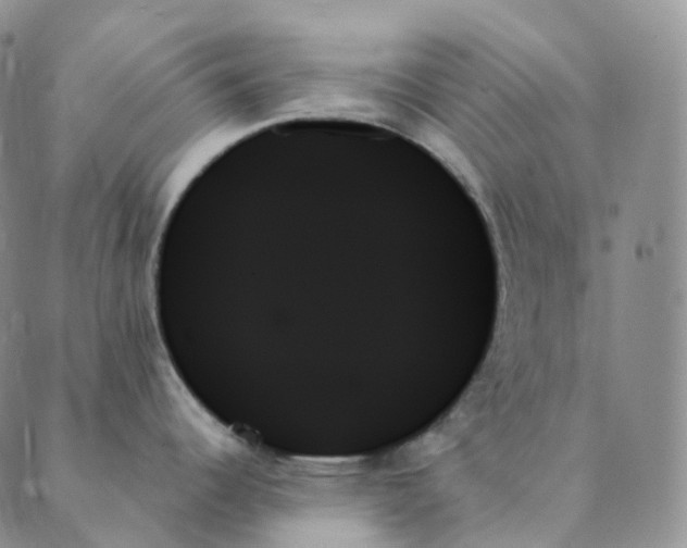 X0000089351344200707061015