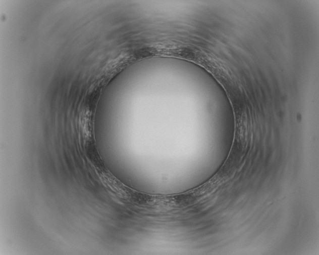 X0000089351346200707061014