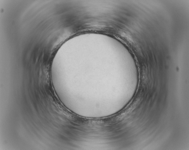 X0000089351354200707061014