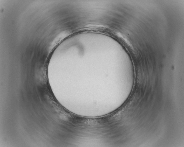 X0000089351362200707061014