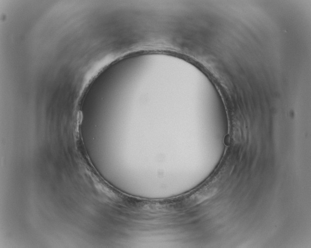 X0000089351366200707061014