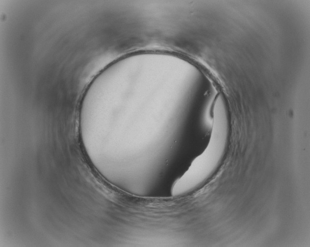X0000089351367200707061014