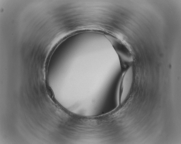 X0000089351372200707061014